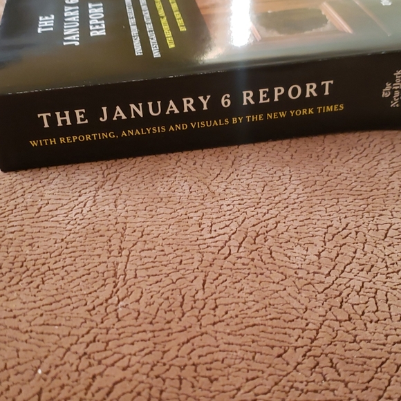 The January 6 report - Picture 3 of 3